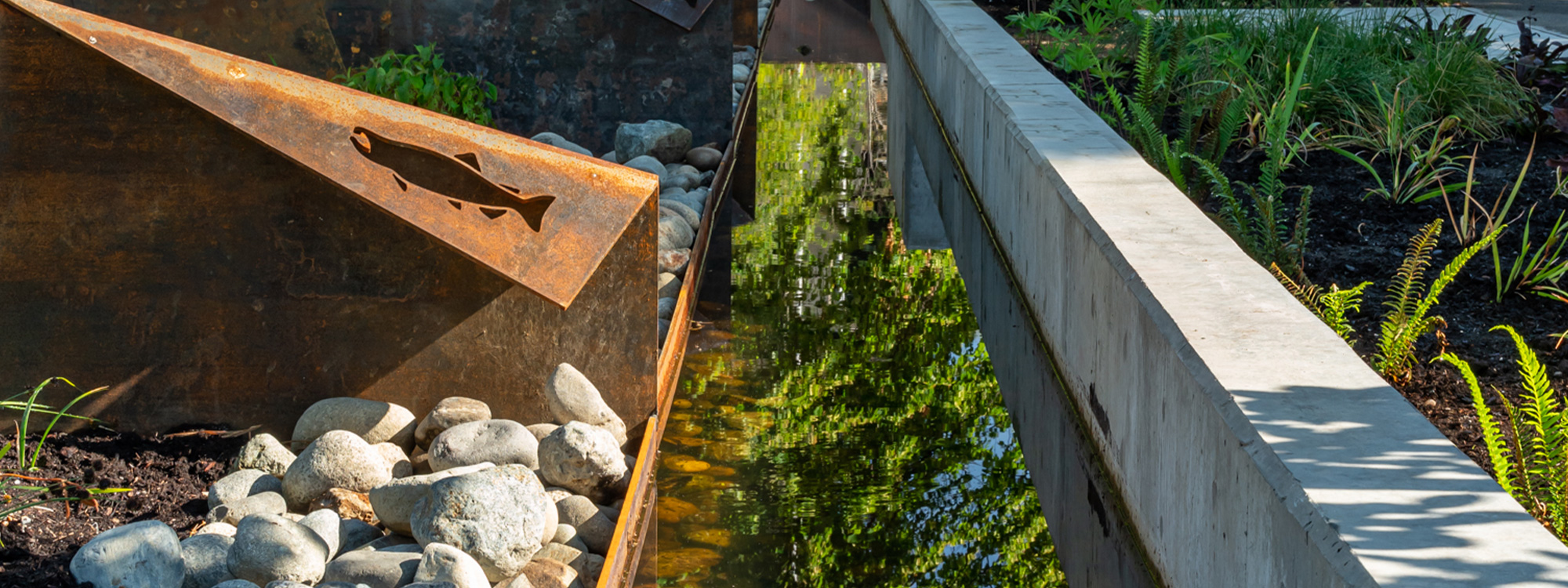 Photo of a salmon cut out on Corten steel next to a bioswales